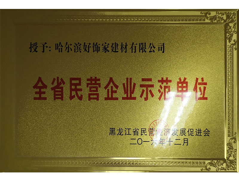 全省民營(yíng)企業(yè)示范單位